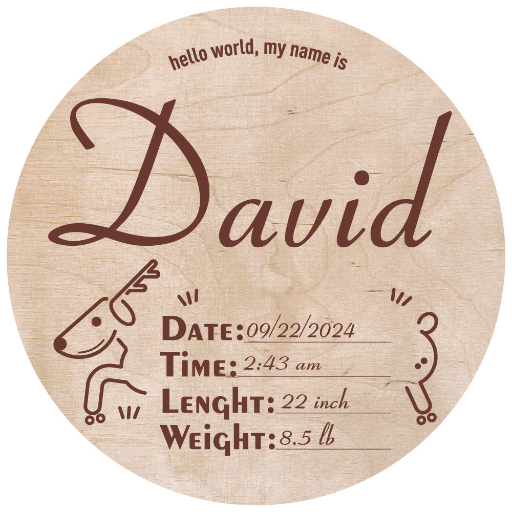 Custom Hospital Round Sign | Personalized Baby Birth Details