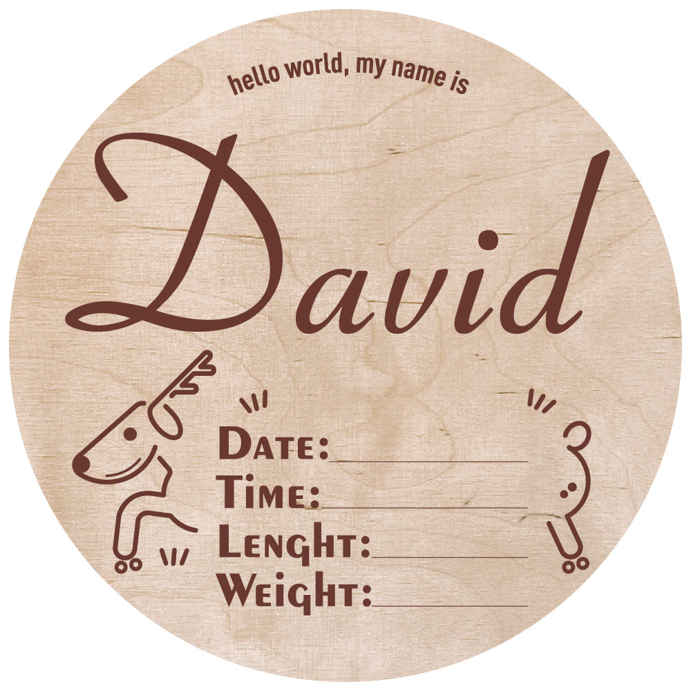 Custom Hospital Round Sign | Personalized Baby Birth Details