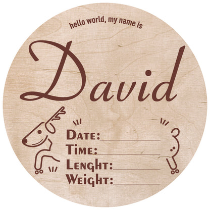 Custom Hospital Round Sign | Personalized Baby Birth Details